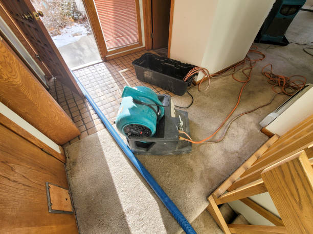 Best Sewage cleanup and water damage restoration  in Leadington, MO