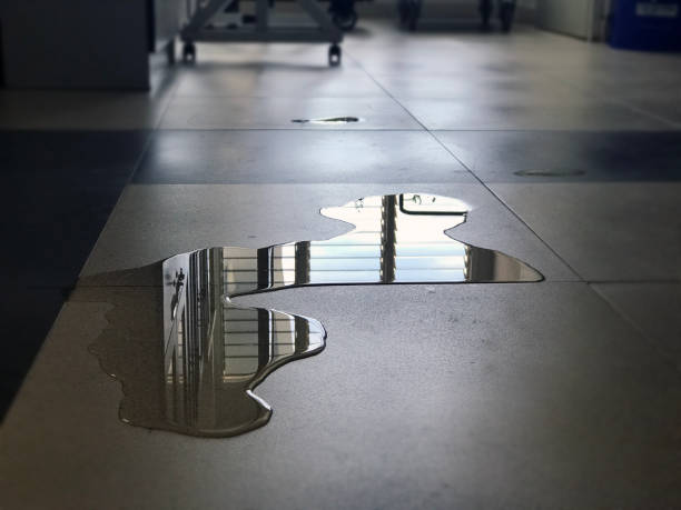 Best Water damage restoration near me  in Leadington, MO