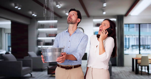 Best 24/7 water damage repair  in Leadington, MO